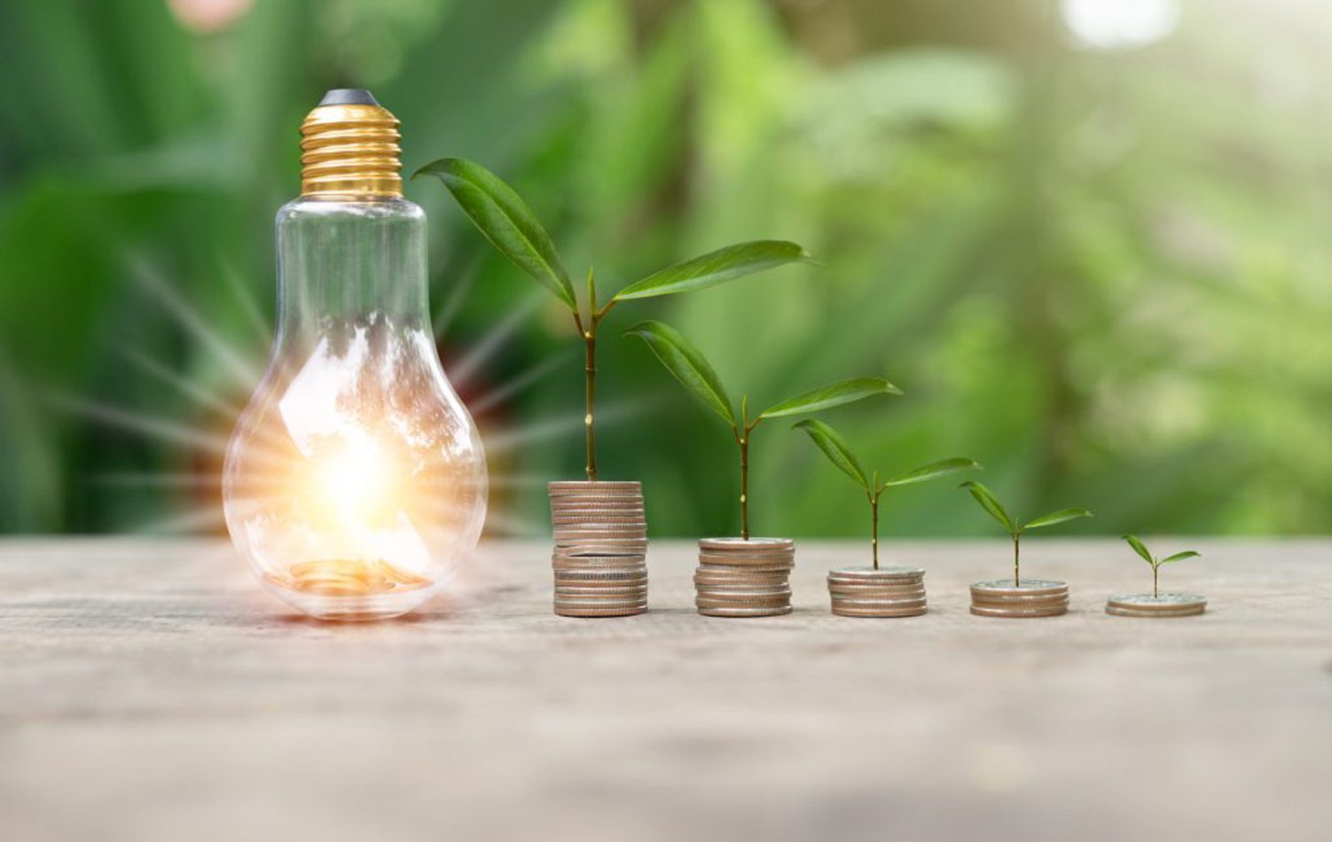 A shining lightbulb beside five growing stacks of coins with plants growing from them in front of a full plant background