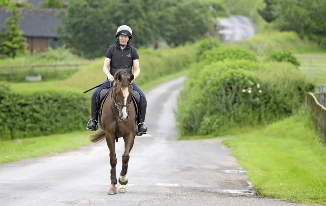 My Pension Expert teams up with Retraining of Racehorses!