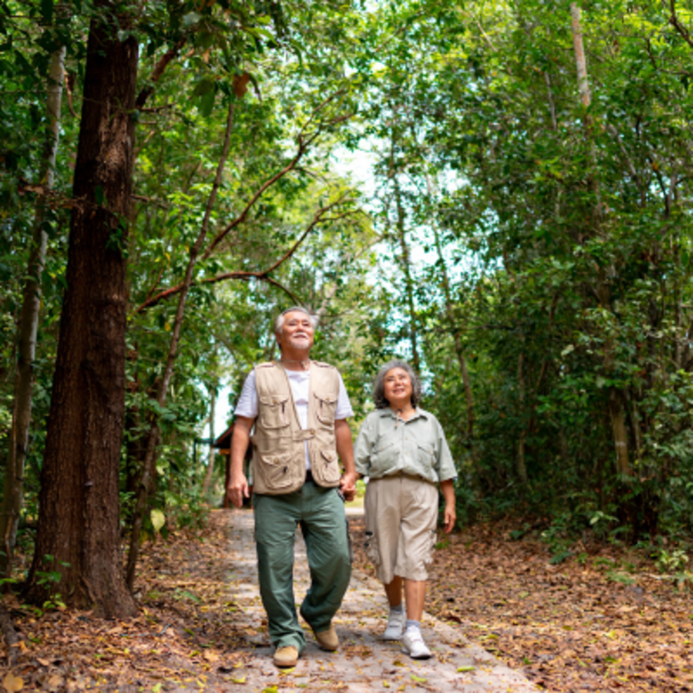Two people walking together along a woodland path