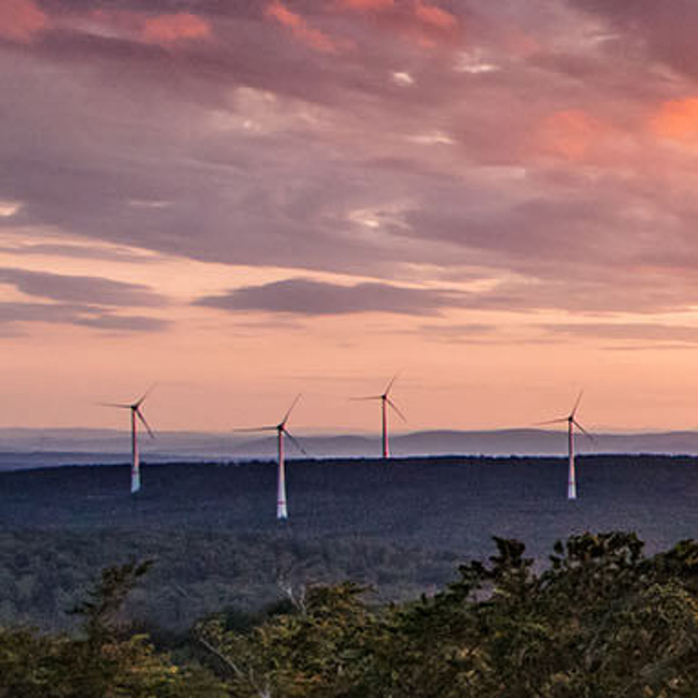 windmills