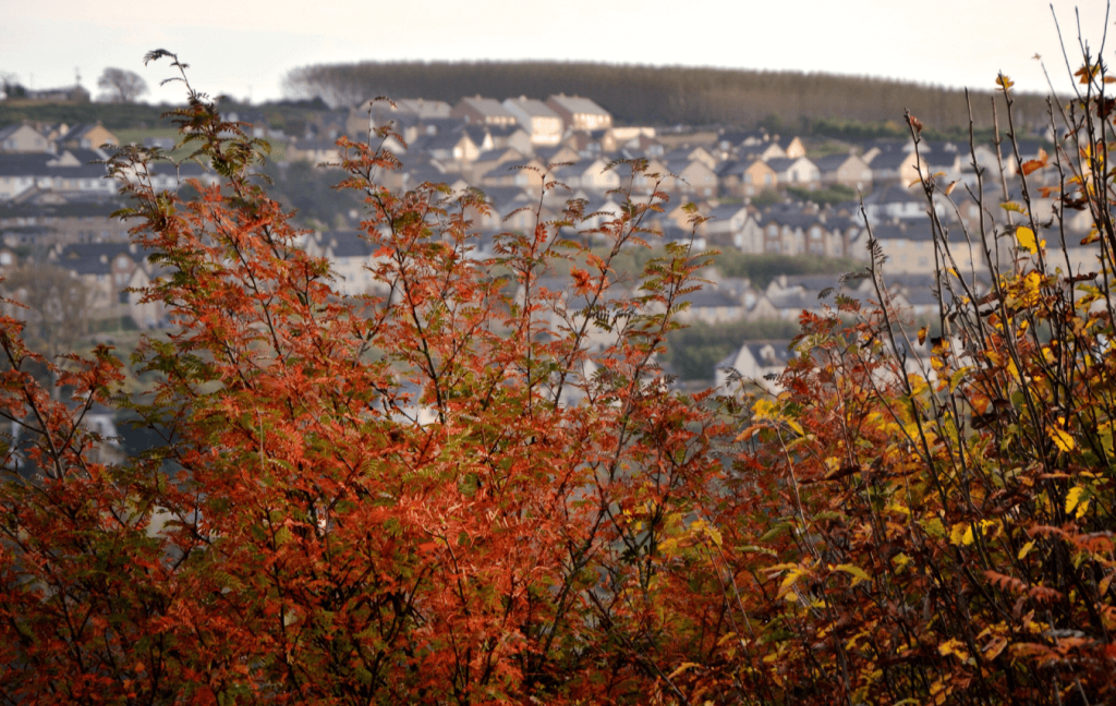 Autumn budget 2024: What does it mean for pension planners? 